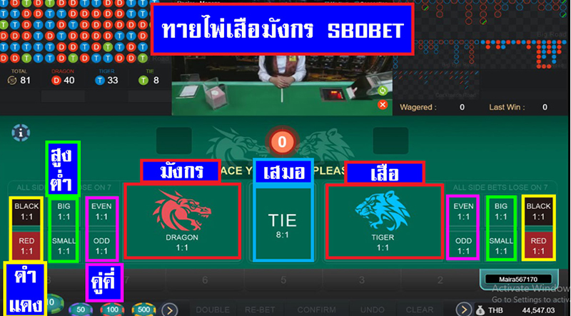 ข้อดีในการเล่นเกมไพ่เสือมังกร กับ SBOBET